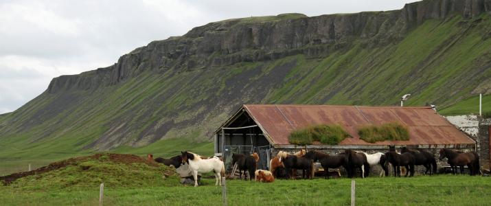 冰岛, 冰岛语, 自然, 户外, 风光, 景观, 全景