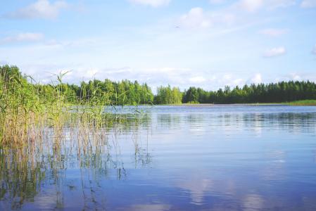 景观, 湖, 自然, 水, 芬兰, 斯堪的那维亚, 休息
