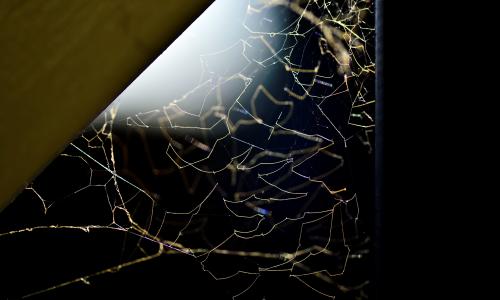 蜘蛛的网, 光, 角落里