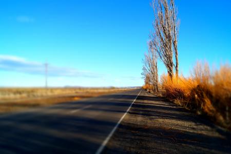 秋天, 道路, 阿根廷