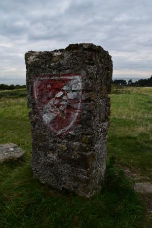 爱尔兰, 彭南特, 盾牌, 字段, 纪念碑, 石头, 岩石