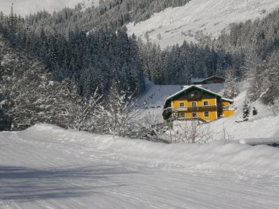 山, 雪, 奥地利, 小木屋