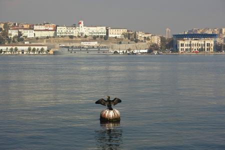 伊斯坦堡, 自然, 鸟, 鸬鹚, 城市, 河口, 水