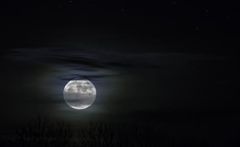 月光, 晚上张照片, 晚上, abendstimmung, 月亮, 神秘, 天空