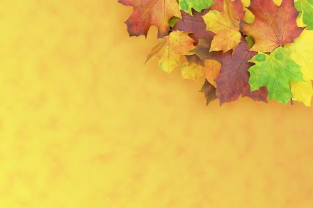 枫树, 秋天, 出现, 装饰, 多彩, 叶子, 背景