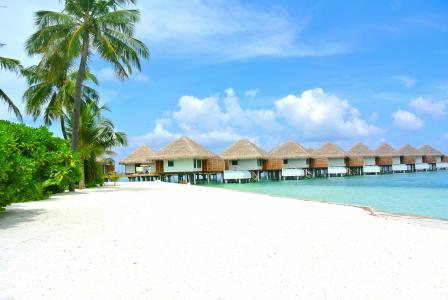 马尔代夫, 海滩, 椰子, 白色的沙滩, 度假村, 假日, 职业