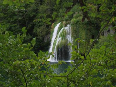 瀑布, 克罗地亚, 湖, 自然, 普利特维切, 水, 森林