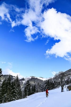 蓝色, 洁白的云朵, 雪, 冬天, 体育, 户外, 山