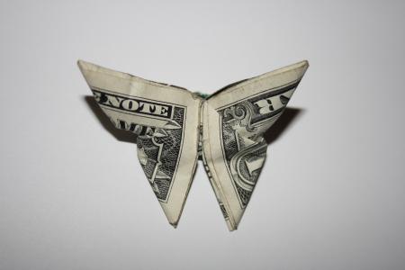 钱, 蝴蝶, 折纸, 美元, 一美元, 业务, 世界旗