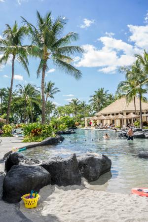 夏威夷, 瓦胡岛, 度假村, 棕榈树, 游泳池, 星级, 人