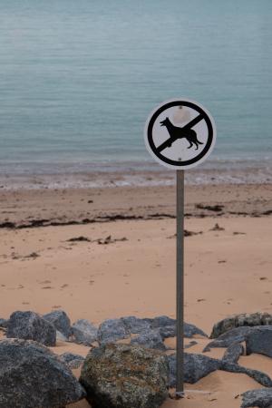 禁止狗, 海滩, 盾牌, 禁止, 狗, 警告, 注意