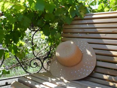 帽子, 板凳, 夏季, 葡萄树