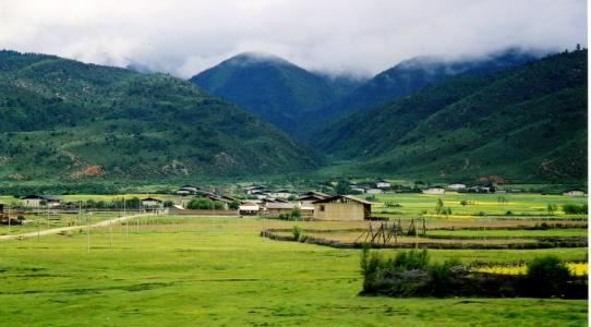 shangri-la 的, 绿色, 自然, 山, 亚洲, 自然, 农业
