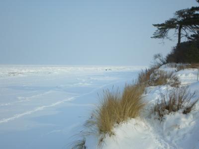 乌泽多姆岛, 冬天, 波罗地海, 雪, 白色, 感冒, 寒冷