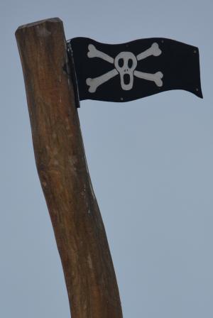 国旗, 海盗, 头骨