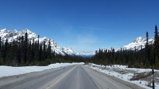 公路, 山脉, 冰, 公园, 艾伯塔省, 风景名胜, 道路