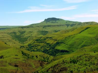 山谷, 小山, 祖鲁兰, 南非, 绿色, 连绵起伏的丘陵