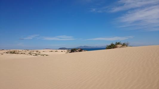 沙丘, 沙子, 科拉莱霍, 橄榄, 岛