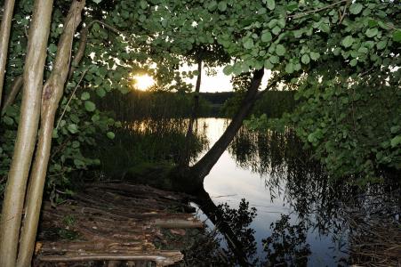 湖, 日落, 双簧管 seenplatte, 德国, 梅克伦堡西部, 水, 自然