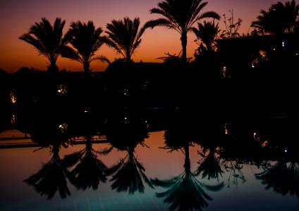 棕榈树, 镜像, 游泳池, 田园, 假日, abendstimmung, 日落