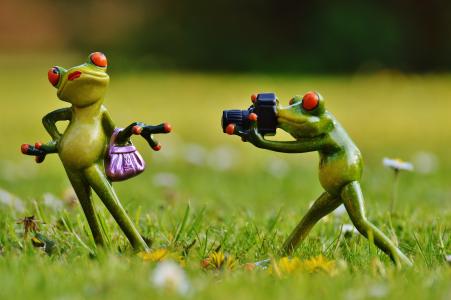 青蛙, 摄影师, 模型, 照片模式, 女士, 构成, 相机