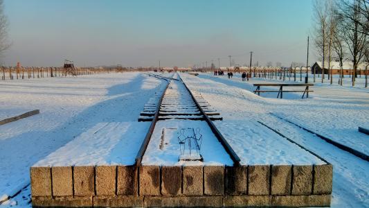 奥斯威辛集中营, 波兰, 僵局, 灭绝阵营, 雪, 感冒, 火车