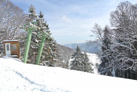 schauinsland, 雪, 滑雪缆车, 森林, 黑色的森林, 德国, 冬天