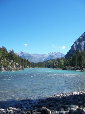河, 岩石, 树木, 加拿大, 山, 假日, 蓝色