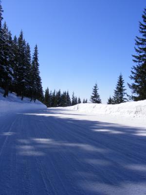 感冒, 山, 道路, 雪, 白雪皑皑, 白色, 旅行