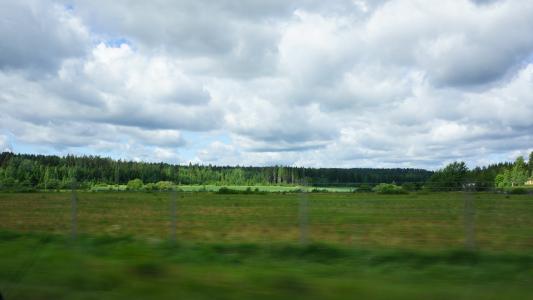 芬兰语, 在路上, 绿色, 字段, 森林, 云彩, 速率