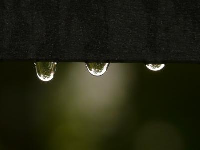 滴灌, 雨滴, 水, 湿法, 表面张力, 雨, 下降