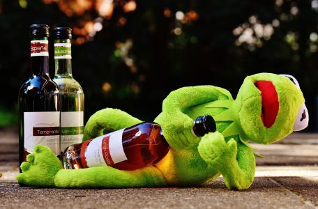 克米特, 青蛙, 葡萄酒, 饮料, 酒精, 醉酒, 休息