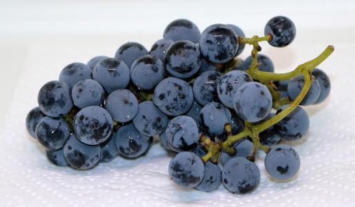 葡萄, 蓝色的葡萄, 水果, 吃, 食品, 蓝莓, 新鲜