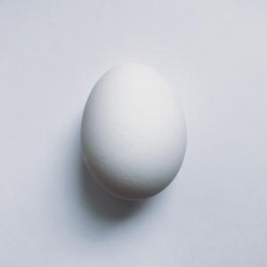 鸡蛋, 食品, 蛋白, 白色, 工作室拍摄, 单个对象, 白色的颜色