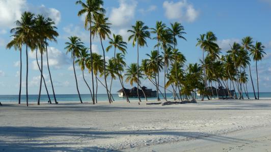 lankanfushi, maldivermna, 海岛天堂, 海滩, 假日, 豪华旅游, 蜜月