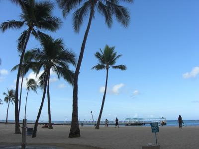 棕榈, 树, 海滩, 早上, 夏威夷, 天空, 蓝色
