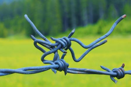牧场围栏, 带刺的铁丝网, 障碍, 电线, 绳子