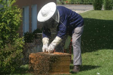 养蜂人, 蜜蜂, 花园, 蜜蜂, 养蜂, 蜂蜜梳子, 蜂巢
