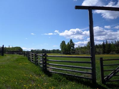 栅栏, 牧场, 农场, 草, 耦合