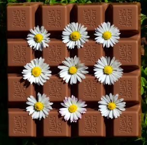 巧克力, 受益于, 美味, 轻咬, 甜, 礼物, 爱
