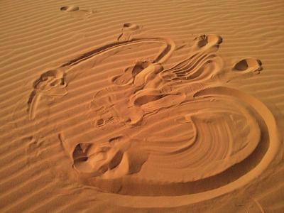 沙子, 沙漠, 兰姆酒, 风