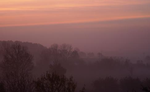 雾, 黎明, 日出, 在上午, 早上, 景观, 秋天
