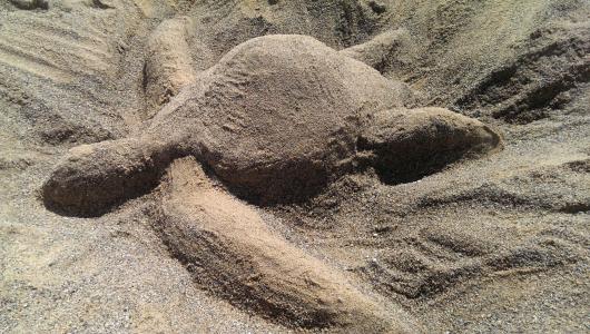 海龟, 沙子, 沙子雕塑, 海滩