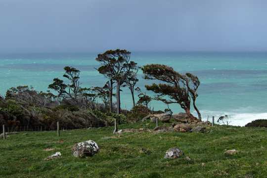 新西兰南岛自然自然风光图片