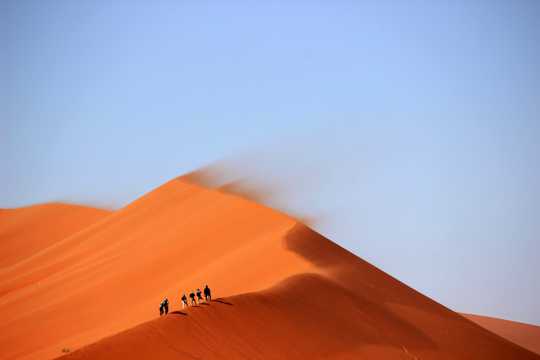 大漠探险图片