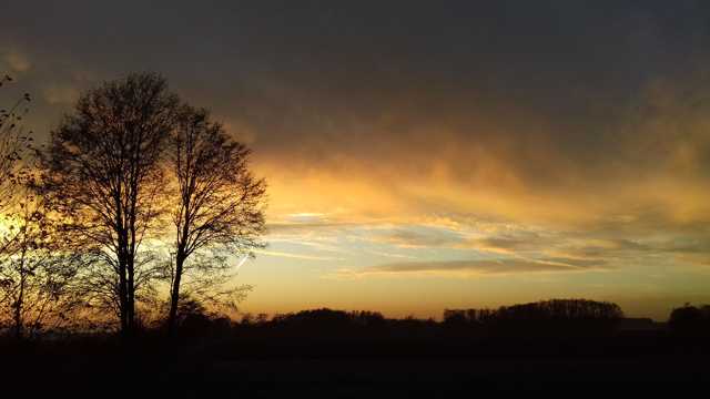 日落天空树木剪影图片