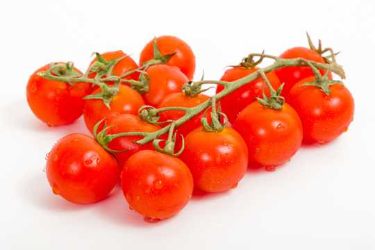 高清番茄图片
