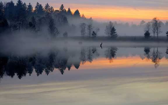 冬天早晨湖水雾气图片
