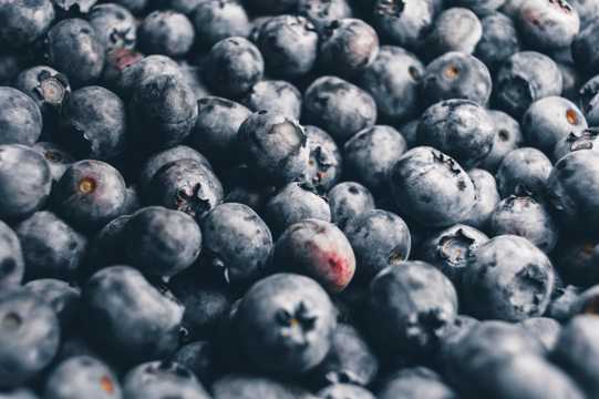 营养丰富的黑莓水果图片