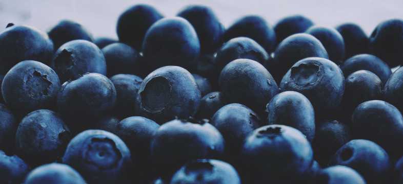 大果蓝莓品种图片